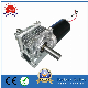  80zyt165-2438-RV040-63b14 Brushless DC Motor Brushed Motor Gear Motor for Motion Simulator PMDC Motor 80mm 24V 3000rpm 400W