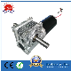 100zyt166-2450-63RV100-71b14 DC Motor Brushed Motor Gear Motor for Motion Simulator PMDC Motor 800W 3500rpm 24VDC 2.2n. M manufacturer