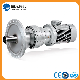 Planetary Gearbox Speed Reducer for Agitator & Mixer