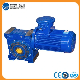 Cast Iron Worm Gearbox with Explosion-Proof Motor