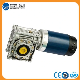  Worm Transmission Gearbox with DC Motor