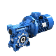 Precision Reducer with Motor 0.75kw-7.5kw RW30 40 50 Worm Speed Reducer manufacturer