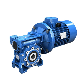 Precision Reducer with Motor 0.75kw-7.5kw RW30 40 50 Worm Speed Reducer