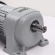  Made in China DC/AC, Induction, Motor, Reducer, etc Manufactured