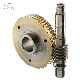 OEM Design Precision CNC Brass/Copper Round Bore Transmission Worm Spur Gears manufacturer