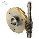 OEM Design Precision CNC Brass/Copper Round Bore Transmission Worm Spur Gears