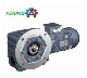  S Series Dual Shaft Output Helical Worm Gear Speed Reducer