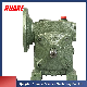 Factory Wholesale Wp Series Worm Gearbox with High Torque Transmission (Wpa/Wps/Wpx/Wpo) manufacturer