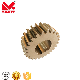 Gear (Helical/Worm/Bevel/Spur) Top Quality & Factory Price