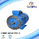 Anp Series 60kw Electric Motor Price for Gear Reducer/Fan Blower