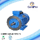 Wholesale Price Anp Series Three Phase Asynchronous Motor for Pump Fans/Gear Transmission