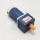 China Factory 12V 24V 20W 40W 80W 120W 150W 400W 370W 1000W 1500W Micro Permanent Magnet DC Geared Gear Motor with Encoder manufacturer