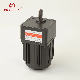 China Factory 6W~100W, 120W~370W Electric Induction AC Gear Motor manufacturer