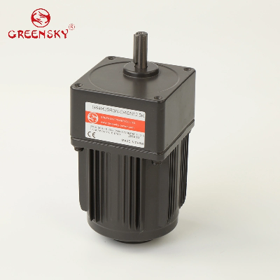 China Factory 6W~100W, 120W~370W Electric Induction AC Gear Motor