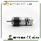  Hot Sale 22mm Planetary Gear Box/12V 24V DC Motor/High Torque Low Speed Gear Motor/Low Noise