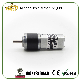 Hot Sale 22mm Planetary Gear Box/12V 24V DC Motor/High Torque Low Speed Gear Motor/Low Noise