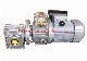  Easy Mounting Infinite Variable Speed Variator Gearbox for Substitude for Motovario