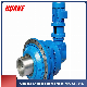 P Series Heavy Duty Planetary Gear Reducer Gearbox Gearbox Unit manufacturer
