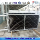 Stainless Steel Copper Tube Multi Rows Fins Coil Heat Exchanger