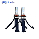  Aurora G10j Copper Belt Design Factory Supply H8 Good Heat Conduction Car LED Headlight Bulbs