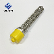  Factory Manufactor 220V 3kw/6kw/9kw/12kw DN32 Screw Type Immersion Thread Water Heater Element with SS304 SS316 Material