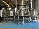 1000L Brewhouse 2-Vessel Steam Heat Microbrewery Equipment with Conical Fermenter