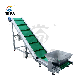 Bifa Adjustable Height Inclined Belt Conveyors for Feeding