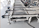 Factory Direct Supply Chain Link Machine Chain Conveyor