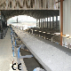 Best Price Gold Mining Conveyor Belt System for Sale Mobile Belt Conveyor