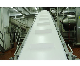  High Quality Food Grade PVC Conveyor Belt/Plastic Conveyor Belt Line
