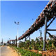 Long Life Steel Roller Conveyor System Belt Conveyor for Mining/Coal/Cement/Power Plant/Concrete Plant/Grain