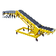 Advanced Goods Handling Lift Conveyor with Telescope Roller Conveyor