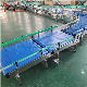 2023 Design Maxsen Modular Belt Conveyor Modular Assembly Belting Conveyor manufacturer