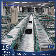  Express Logistics Electric Power Gravity Manual Flexible Expandable High Speed Telescopic Roll Conveyor