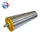  Winroller High Torque and High Power Motorized Roller for Farm Belt Conveyor