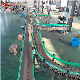 Top Chain Conveyor Chain Plastic Conveyor Plastic Table Top Chain Bottle Conveyor manufacturer