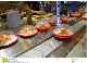 Sushi Conveyor with Food Grade Multiflex Conveyor Chains Wtih ISO& CE &FDA Certificate