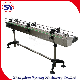 High Quality Scraper Chain Drag Conveyor for Bottle/Cans