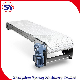  2020 China Supply Bottle Labelling Scraper Chain Drag Conveyor (SYCP)