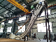 Vertical Lifting Chain Conveyor for Oil & Fat, Food, Flour, Sludge Plant