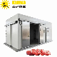 Good Quality Commercial Fish Chicken Cold Room Blast Freezer Cold Room