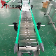 Ss Top Chain Conveyor Chain Conveyor with Anti-Rust Material From China Factory manufacturer