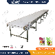 Leadworld Custom Vertical Flat Vegetable Fruit Food White PVC Conveyor Belt