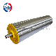  Dm165 AC Motor Oil-Immersed Belt Conveyor Roller for Airport Baggage Belt Conveyor