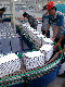 OEM Custom Production Line Stainless Steel Inclined Belt Conveyor