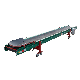 Stainless Steel Linkage Rubber Belt Vegetable/Fruit Conveyor Single Layer Potato Conveyor