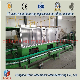 ISO Fully Automatic Mixing Weighing Conveying System/Automatic Batch Weighing and Mixing System