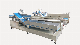  Bag Sachet Unscramblers Machinery CE Automatic High Speed Sorting Belt Conveyor Machine