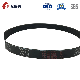  EPDM 6pk1665/4pk855/6pk1565 Fan Belt Automotive Belt/Engine Ribbed/Rubber V Belt