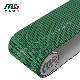 Green PVC/PU/Pvk Light Industrial Conveyor/Transmission Belting/Belt with Grass Grain Pattern